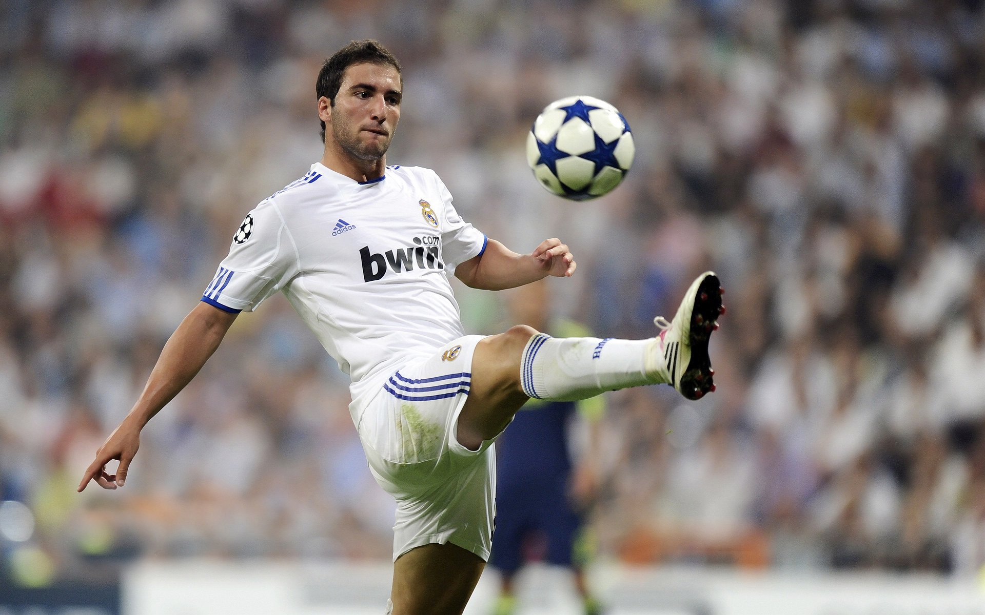 当激烈碰撞定格温情，那不勒斯全队为重伤倒地阿森纳球员围拢祈祷，激烈碰撞后的温情，那不勒斯全队为重伤阿森纳球员围拢祈祷